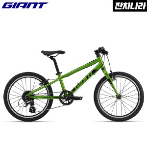 자이언트 에이알엑스 ARX 20인치 어린이 자전거 (Metallic Green)